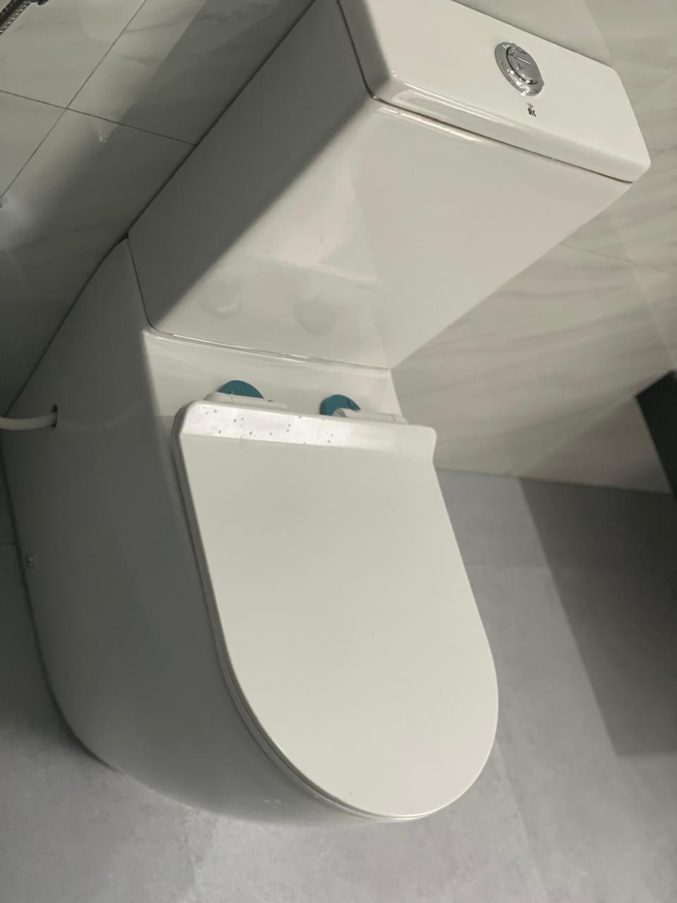 Forest view from balcony