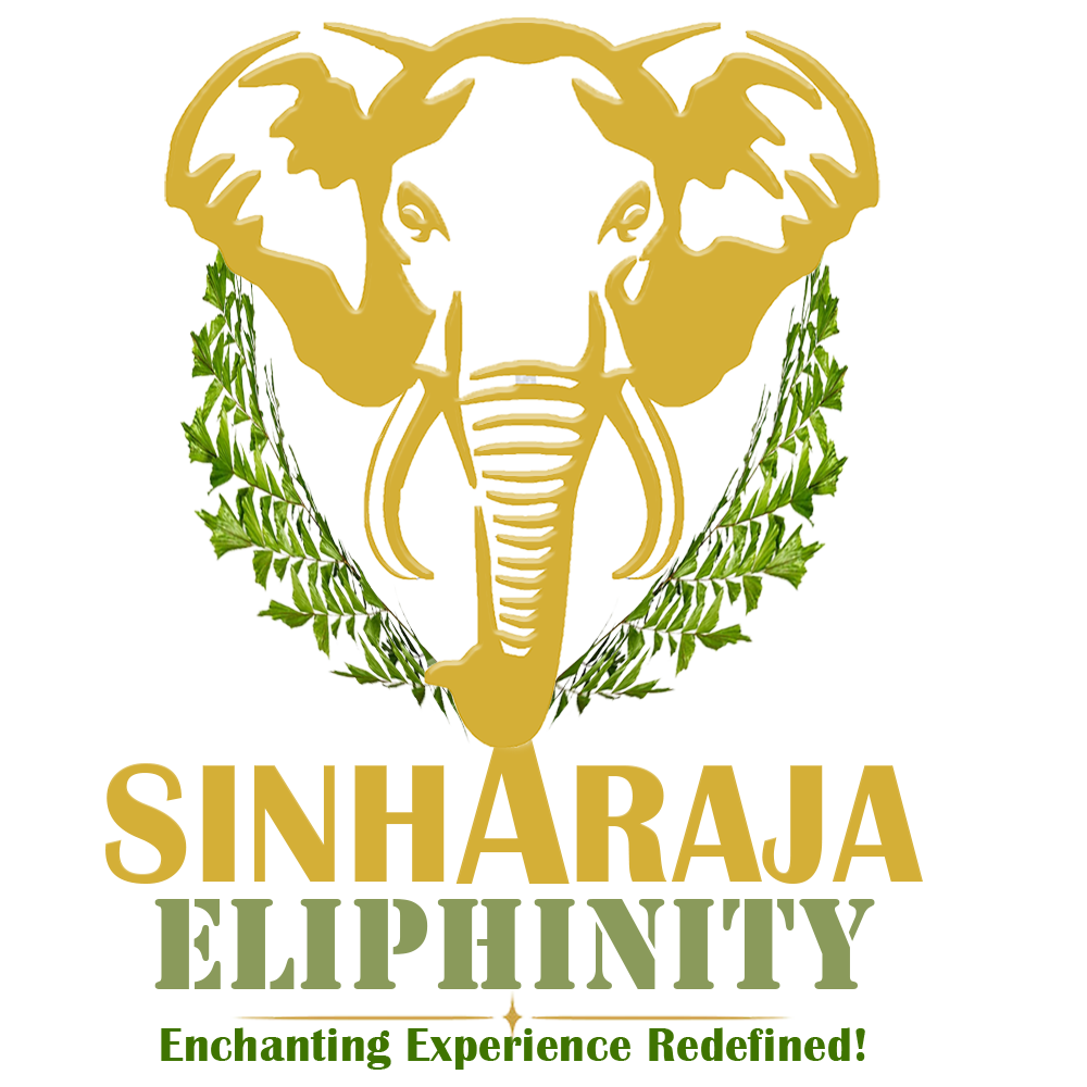 Sinharaja Eliphinity Logo